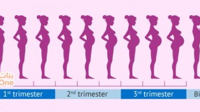 مراحل الحمل الثلاث عند المرأة  