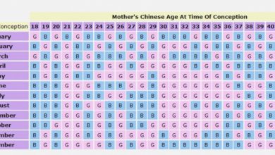 الجدول الصيني لمعرفة جنس المولود  