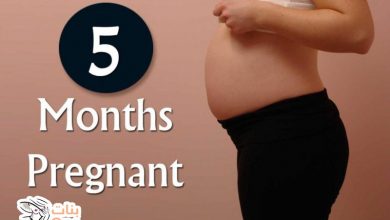 الشهر الخامس من الحمل  
