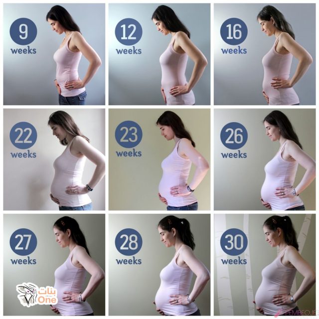 عدد اسابيع الحمل الطبيعي للبكر  