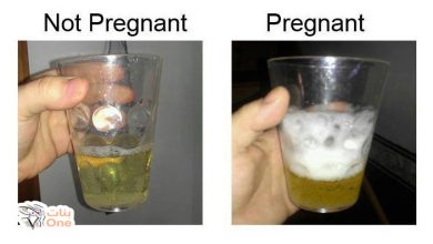 تحليل الحمل المنزلي بالملح بالصور  