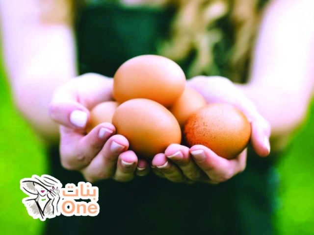 فوائد البيض للوجه وأهم وصفات البيض الطبيعة للبشرة  