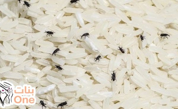 كيفية التخلص من سوس الأرز  