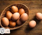 أضرار وفوائد البيض على الجسم  