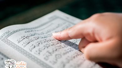 طريقة حفظ القرآن الكريم في شهر رمضان  